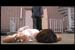 mplayerc 2007-08-29 00-19-49-29